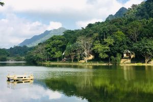 cuc phuong national park vietnam