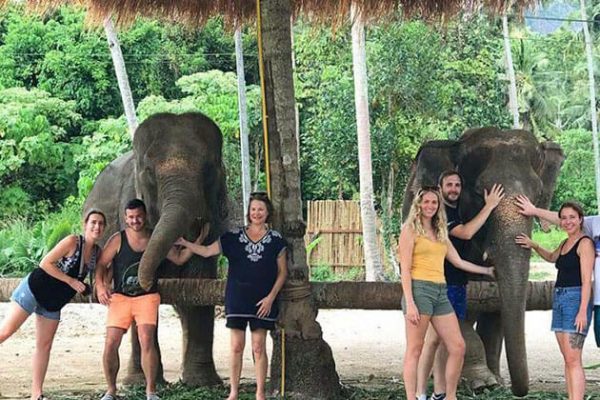 Top 3 Elephant Sanctuaries in Thailand to Visit in 2020 - Indochina Tours