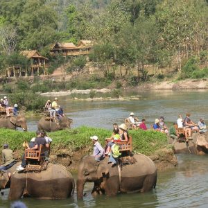 Elephant Village Camp - Laos travel packages