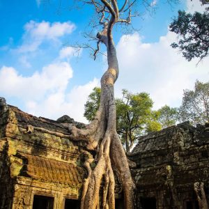 Ta Prohm temple - Southeast Asia Vacation Packages