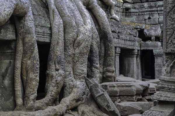 Ta Prohm - Cambodia Tour Packages