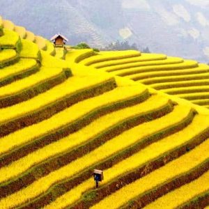 Taphin village - Vietnam Tours & Travel Packages