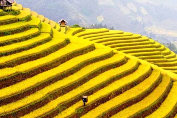 Taphin village - Vietnam Tours & Travel Packages