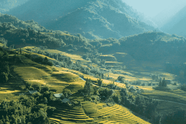 Vietnam Tour Packages in 12 Days