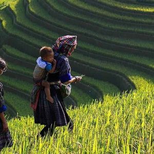 villages of Lao Chai and Ta Van- Vietnam Tour Packages