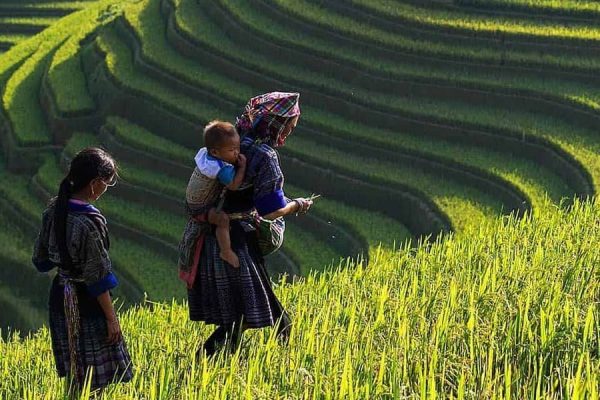 villages of Lao Chai and Ta Van- Vietnam Tour Packages