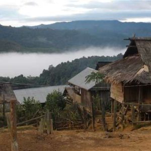 Nam Tha - mekong river tours