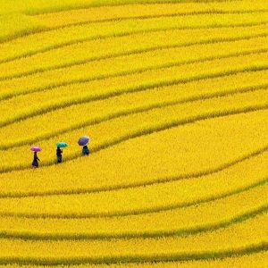 explore vietnam in indochina tours-15 days