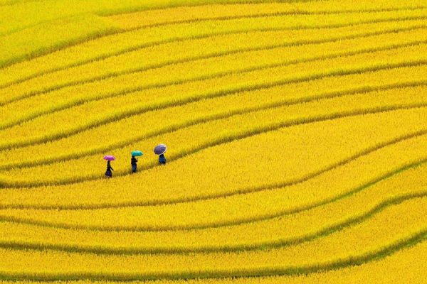 explore vietnam in indochina tours-15 days